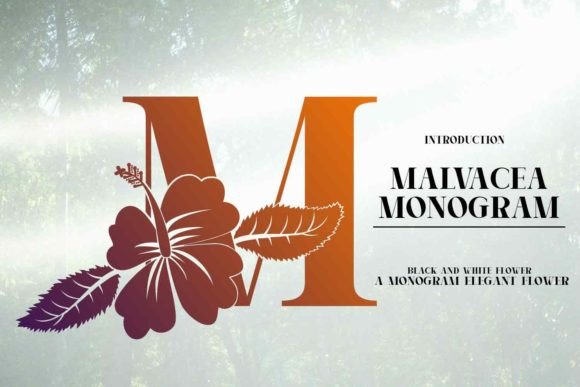 Malvacea Font: Elevating Editorial Design