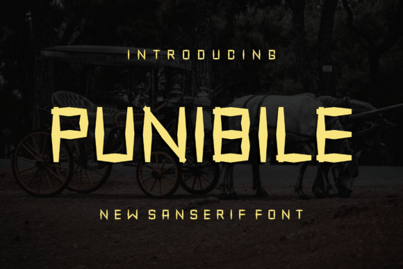Why Punibile Became My Go-To Display Font for Modern Web Projects
